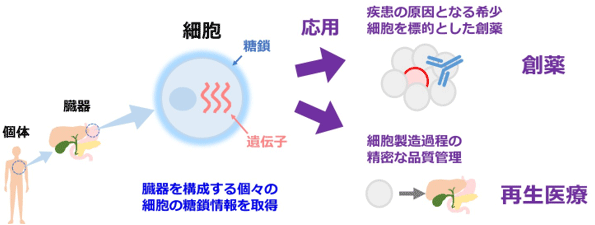 概要図
